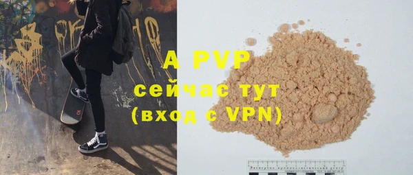 стаф Арсеньев