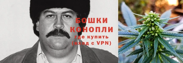 стаф Арсеньев