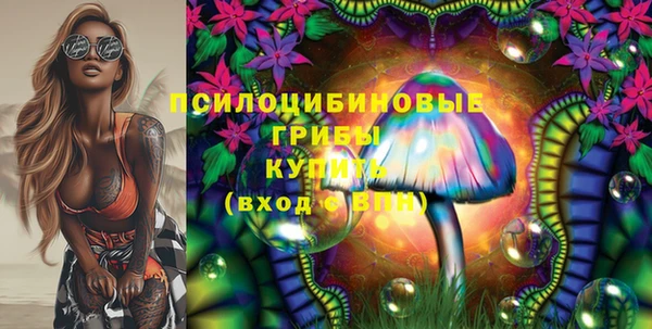 дмт Аркадак