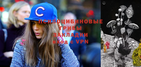 дмт Аркадак