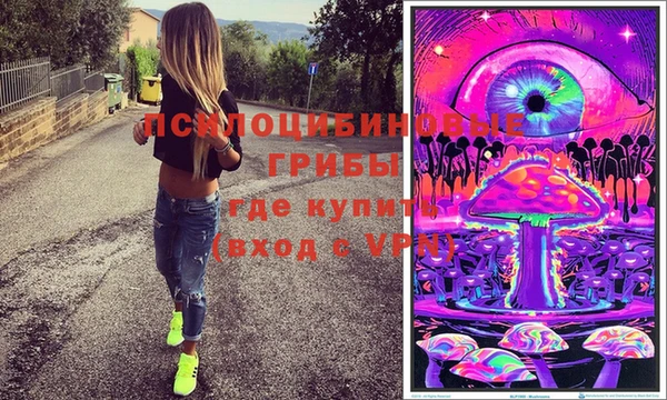 стаф Арсеньев