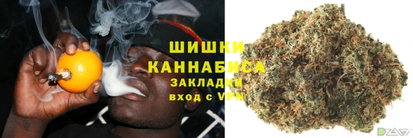 стаф Арсеньев