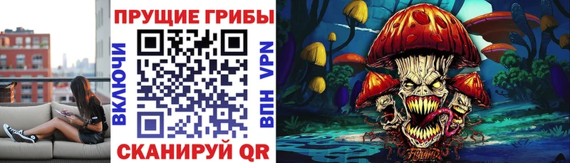 Галлюциногенные грибы мухоморы  гидра онион  Дегтярск  наркота 